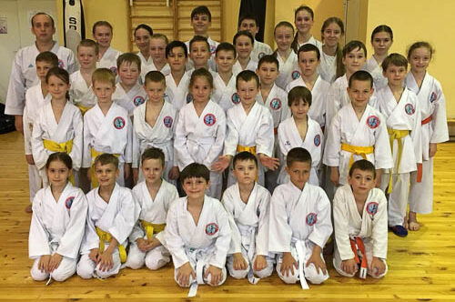 Технический семинар по каратэ 19.05.2018