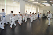 каратэ на юго-западной