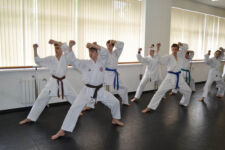 каратэ на юго-западной