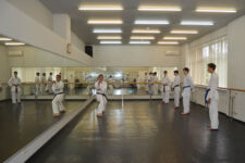 каратэ на юго-западной