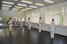 каратэ на юго-западной