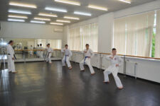 каратэ на юго-западной