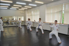 каратэ на юго-западной