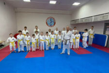 практический семинар по специальной физической подготовке в спортивном каратэ практический семинар по специальной физической подготовке в спортивном каратэ